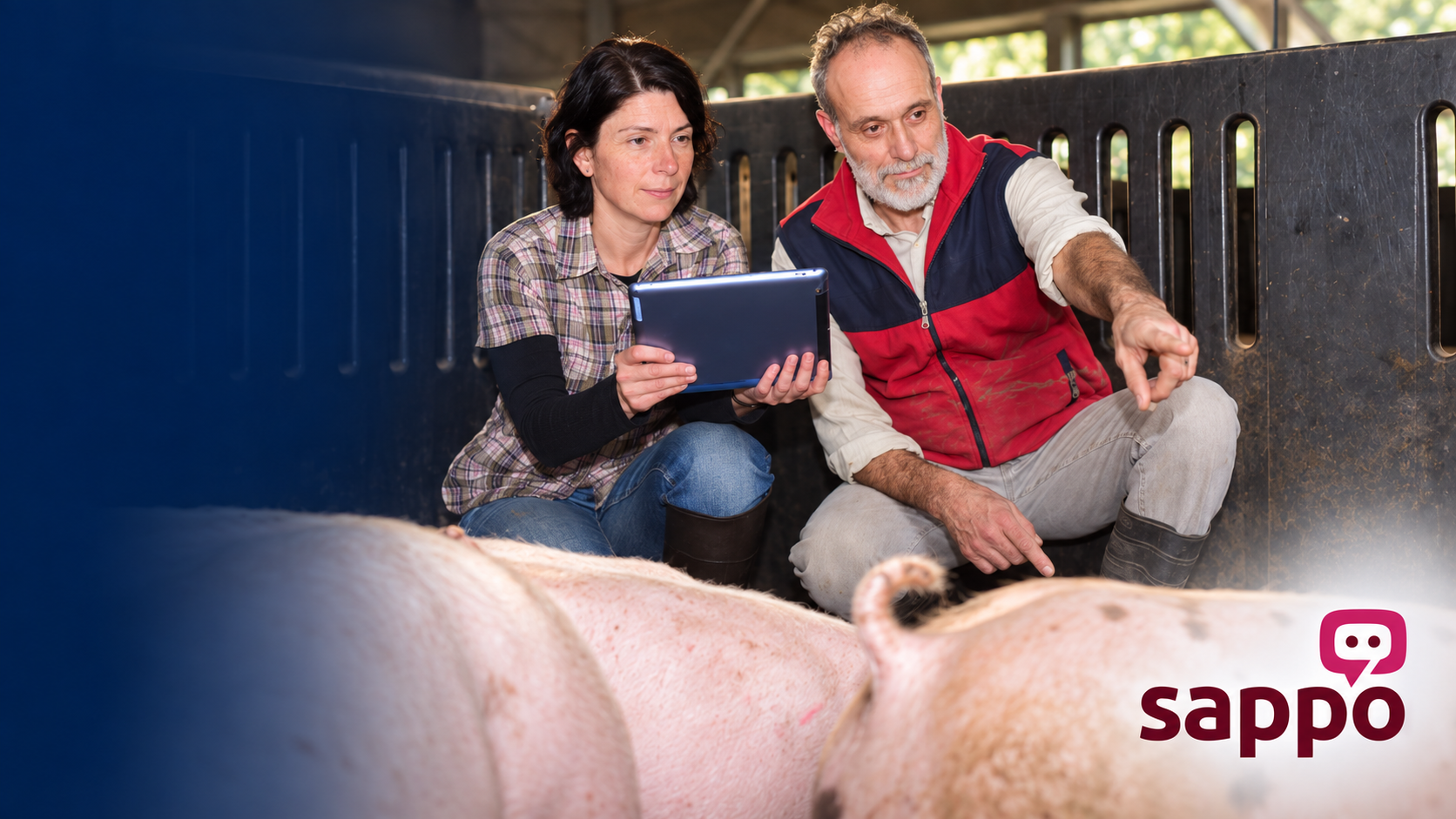 Revolutionising the South African Pork Industry with 4Sight's Central Platform On Microsoft Azure